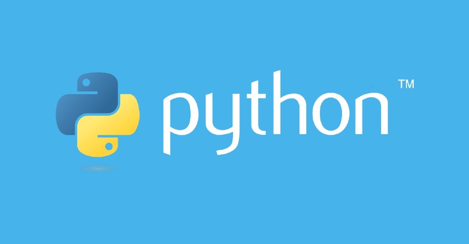 Everything You Need To Know About Python